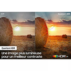 Samsung TV QLED 4k 65" 165cm - QE65Q60CAUXXH - 2023 + Montage TV Mural mouvement intégral - Noir pas cher