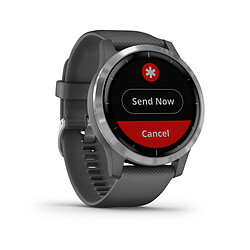 Montre connectée Garmin Vívoactive 4 010-02174-02 Silver/Shadow Grey