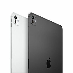 Apple iPad Pro 11 pouces (2024) - Wi-Fi + Cellular - 2000 Go - Noir