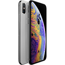 Apple iPhone XS - 256 Go - MT9J2ZD/A - Argent - Reconditionné