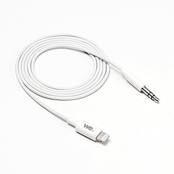 WE Câble Audio Auxiliaire pour iPhone 3,5 mm Cordon de Voiture Câble vers 3,5 mm Adaptateur pour iPhone/iPad/iPod Lien vers des Ecouteurs/Voiture/Haut-parleurs Prise en Charge de Tous Les iOS,1M -Noir WE Câble Audio Auxiliaire pour iPhone 3,5 mm Cordon de Voiture Câble vers 3,5 mm Adaptateur pour iPhone/iPad/iPod Lien vers des Ecouteurs/Voiture/Haut-parleurs Prise en Charge de Tous Les iOS,1M -Noir