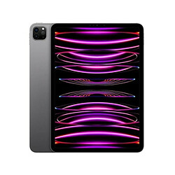 Apple iPad Pro 11 (2022) WiFi - 256 Go - Gris Sidéral