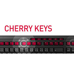 Acheter Cherry G84-4100 - Clavier mécanique