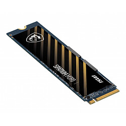 MSI SPATIUM M390 NVME M.2 500GB internal solid state drive pas cher