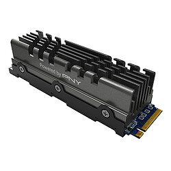 PNY SSD CS3040 M.2 GEN4 500GB Heatsink