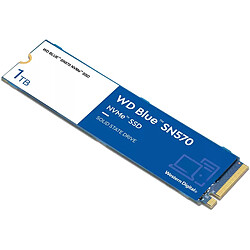 Avis Western Digital Disque SSD NVMe™ WD Blue SN570 1 To + Aegis 2 x 8 GB DDR4 3200 MHz CL16 KIT Rouge