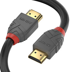 Avis Lindy 36965 HDMI cable