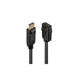 LINDY Convertisseur Passif DisplayPort vers HDMI