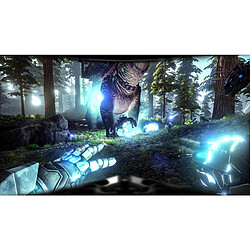 Acheter Studio Wildcard ARK SURVIVAL EVOLVED