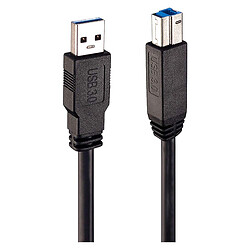 Lindy 43098 câble USB 10 m USB A USB B Mâle Noir (10m USB 3.0 Active Cable)