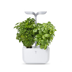 Potager d'intérieur Véritable® Exky® SMART Arctic White pas cher