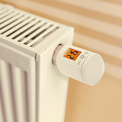Avis HomePilot Pack de démarrage connecté pour 2 radiateurs eau chaude
