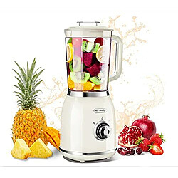 Patterson Kitchen Blender mixeur  – 300W Blender mixeur – 300W - 6 lames inoxydables - bouteilles 600 ml