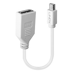 Lindy 41021 DisplayPort cable