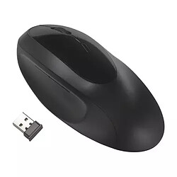 Acheter KENSINGTON Kensington Pro Fit Ergo Wireless Mouse