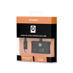 D2 Diffusion Lecteur de cartes SD / microSD / port micro USB