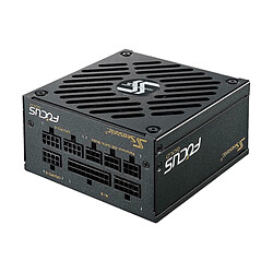 Seasonic FOCUS-SGX-500