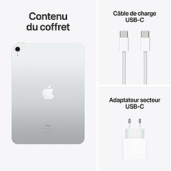 Apple iPad 10 (2022) WiFi - 256 Go - Argent pas cher