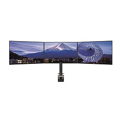 iiyama Support Triple Ecrans DS1003C-B1