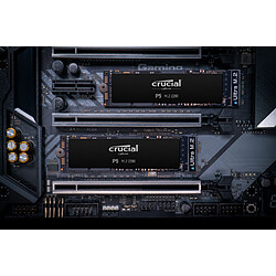 Acheter Crucial P5 3D NAND - 250 Go - M.2 NVMe PCIe