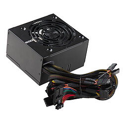 EVGA 600 W - 80 Plus pas cher