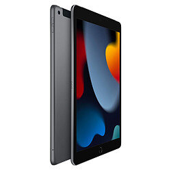 Apple iPad (2021) 64 Go Wi-Fi + Cellular Gris Sidéral