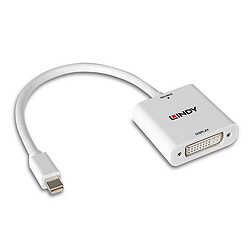 Avis Lindy Convertisseur Mini DisplayPort vers DVI