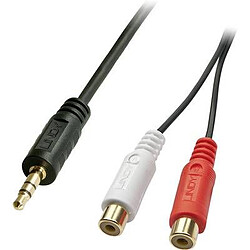 Adaptateur LINDY 35678 [1x Jack mâle 3.5 mm - 2x Cinch / RCA femelle] 0.25 m noir