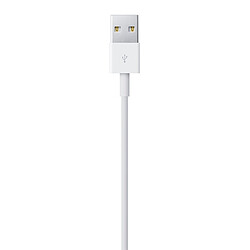 Apple Câble Lightning vers USB 2 m - MD819ZM/A