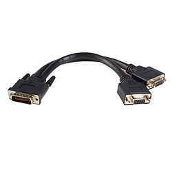 StarTech.com Câble 20 cm LFH 59 mâle vers femelle double VGA DMS 59