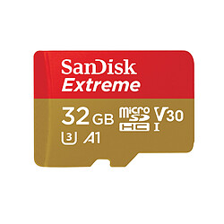 Sandisk Extreme microSDHC 32GB + SD Adapter pour Action Sports Cameras