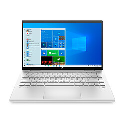 Avis HP Pavilion x360 14-dy0029nf - Argent