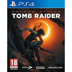 Square Enix Shadow of the Tomb Raider - Jeu PS4