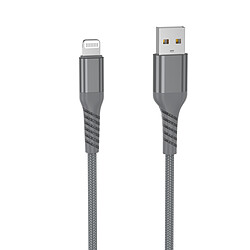 WE Câble USB vers Lightning Ultra Résistant en Nylon Tressé et Kevlar, 2 Mètres, Certifié MFi, Charge et Synchronisation des Données - Gris