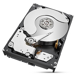 Avis Seagate Technology Ironwolf 12 To - 3.5'' SATA III 6 Go/s - Cache 256 Mo