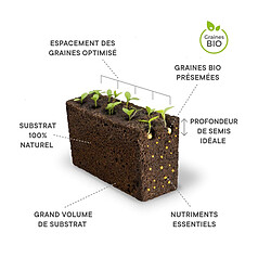 Véritable Pack de 4 Lingots pour Potager d'intérieur - Persil frisé - Coriandre - Menthe verte - Ciboulette pas cher