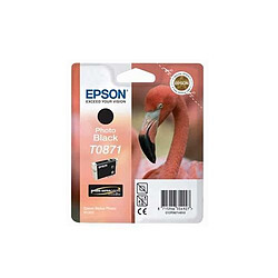 EPSON - Cartouche d'encre Noire Photo compatible Epson Stylus Photo R1900