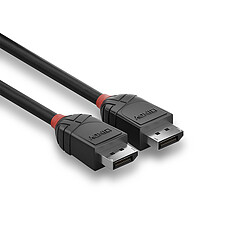 Avis Lindy 36494 DisplayPort cable