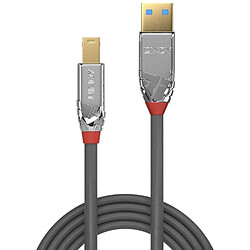 Avis Lindy 36664 câble USB 5 m USB A USB B Gris (5M USB 3.0 TYPE A TO B CBL - CROMO LINE)