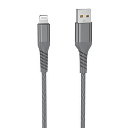 WE Câble USB vers Lightning Ultra Résistant en Nylon Tressé et Kevlar, 1 Mètre, Certifié MFi, Charge et Synchronisation des Données - Gris