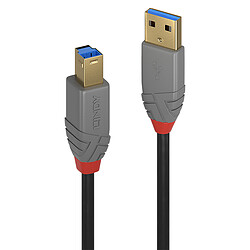 Lindy 36743 USB cable