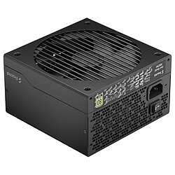 Fractal Design Design Ion Gold 550W - 80 Plus Gold pas cher