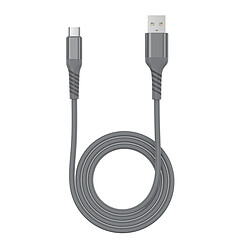 WE Câble USB vers USB-C Ultra Résistant en Nylon Tressé et Kevlar, 1 Mètres, Certifié MFi, Charge et Synchronisation des Données - Gris