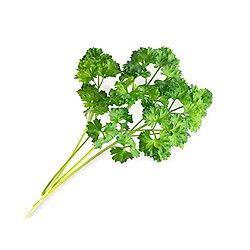  Véritable Pack de 4 Lingots pour Potager d'intérieur - Persil frisé - Coriandre - Menthe verte - Ciboulette