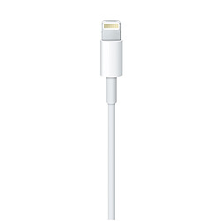 Avis Apple Câble Lightning vers USB 2 m - MD819ZM/A