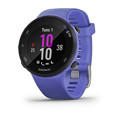 Avis Garmin Forerunner 45S - 39 mm - Iris