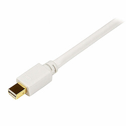 Acheter StarTech.com Adaptateur Mini DisplayPort vers DVI - Câble Mini DP / DVI-D 1080p / 1920x1200 - Blanc 1,8 m