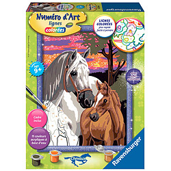 Ravensburger Peinture au numéro : Numéro d'Art lignes colorées : Chevaux au coucher de soleil Peinture au numéro : Numéro d'Art lignes colorées : Chevaux au coucher de soleil