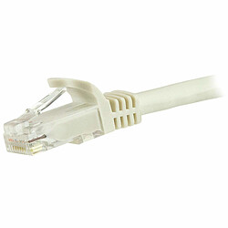 Câble RJ45