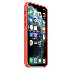 Avis Apple Coque en silicone iPhone 11 Pro - Clémentine